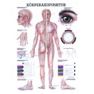 anat. Mini-Poster: Körperakupunktur