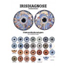 anat. Poster: Irisdiagnose