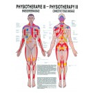 anat. Poster: Physiotherapie